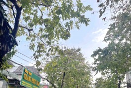 Ngộp Giảm Sốc 1.3 Tỷ Mặt Tiền Kinh Doanh Lô Góc 111m2_6.5x19m Gần Chợ Kiến Thiết Hiệp Phú Thủ Đức Chỉ hơn 9 tỷ